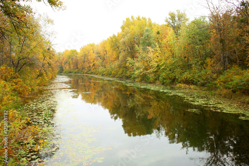 River in autumn park