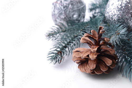Composition of cone and coniferous branch on white background, close up view