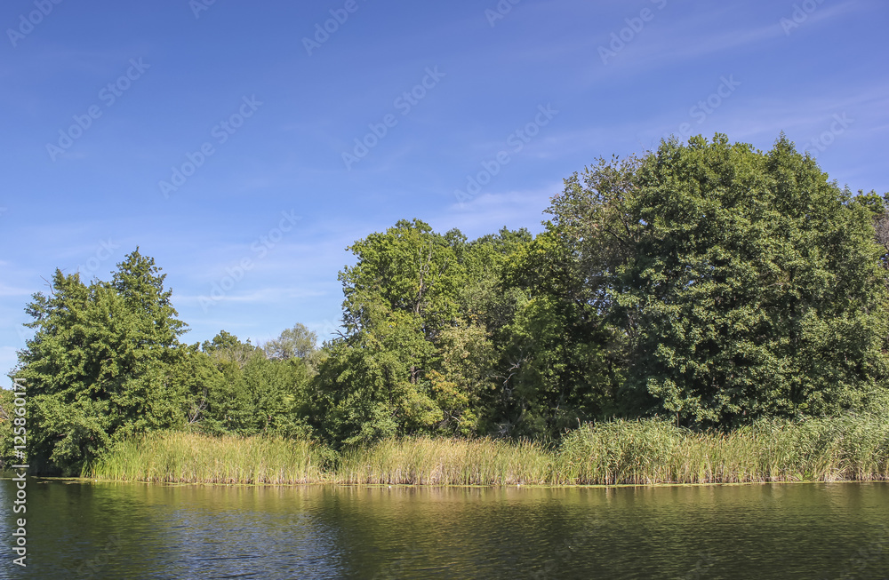river near forest river near forest