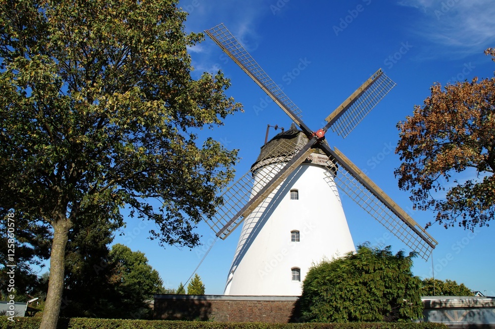Obraz premium Ossenberger Turmwindmühle 