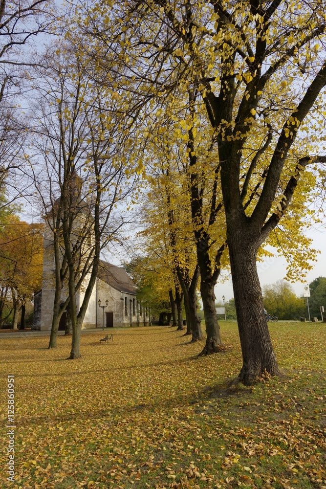 Dorfkirche Friemersheim im Herbst