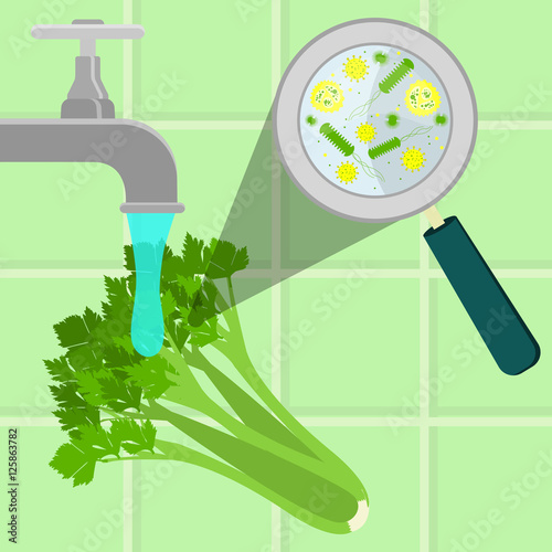 Contaminated celery being cleaned and washed in a kitchen. Microorganisms, virus and bacteria in the vegetable enlarged by a magnifying glass. Running tap water.