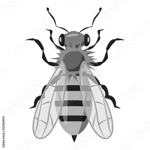 Insects bee icon. Gray monochrome illustration of insects bee vector icon for web