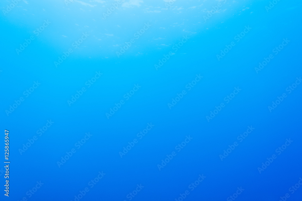 underwater background underwater background