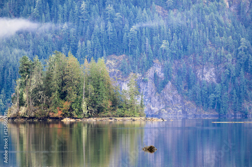 A small island in a calm inlet off the coast of Vancouver Island