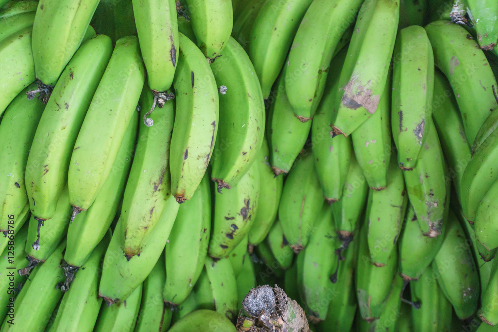 organic banana from farmer in Central America