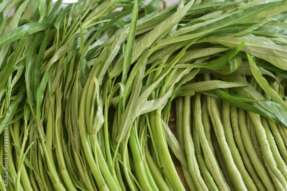 Close up moring glory, green vegetable Close up moring glory, green vegetable