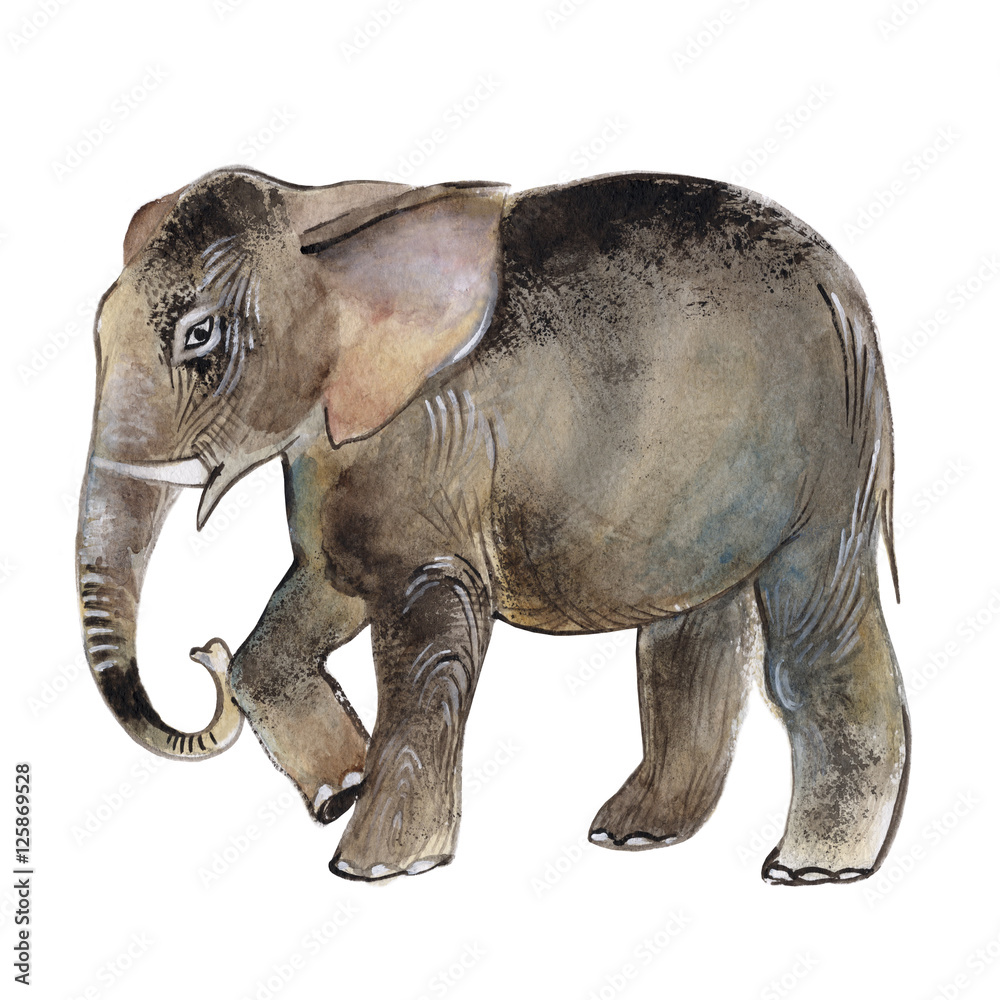 Fototapeta premium Elephant isolated on a white background, watercolor