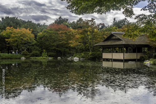 Japanese Garden in Fall