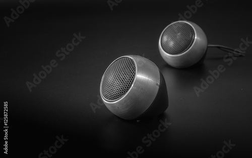 Car tweeter speaker audio