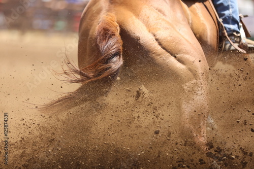 A close up view of a horse sliding in the dirt.  A large photography image with details of flying dirt.
