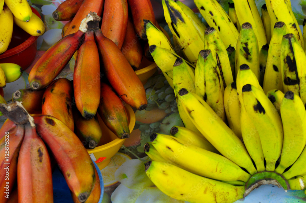 Tropical  Bananas