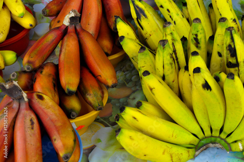 Tropical  Bananas photo