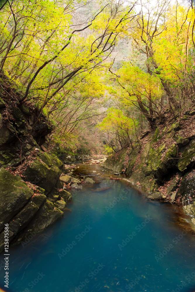 Valley Valley