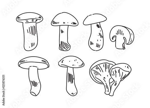 hand draw mushroom, vector