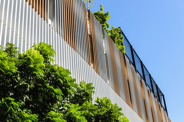 Green facade, vertical garden in architecture Green architecture