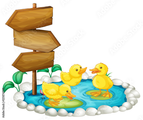 Wooden sign and ducks in the pond