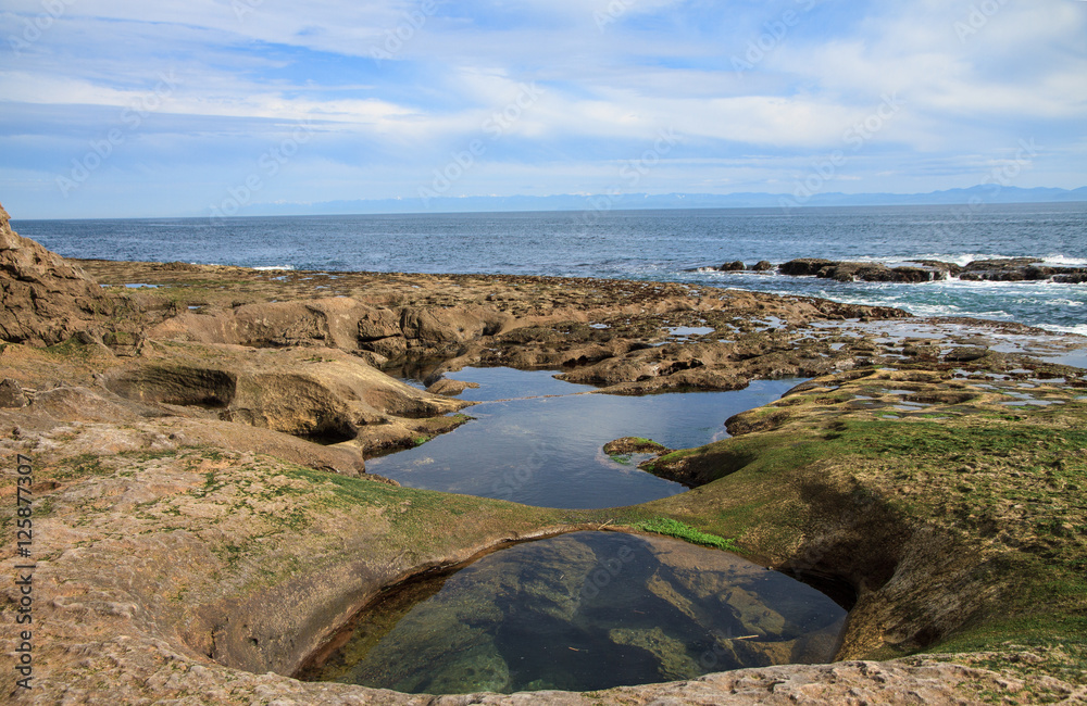 Tidal Pools on Pacific Coast Tidal Pools on Pacific Coast