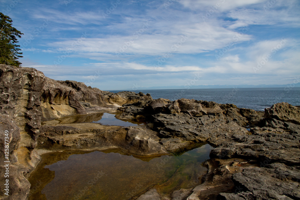 Fototapeta premium Tidal Pools on Pacific Coast