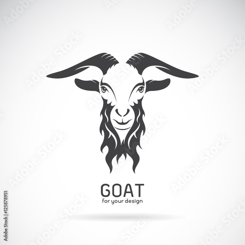 Vector of a goat head design on white background. Animals.
