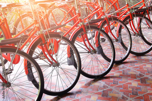 Wheel detail of a group of bikes for rent parked among sunlight in resort at Nakhon Nayok province in Thailand. Travel and exercise concept