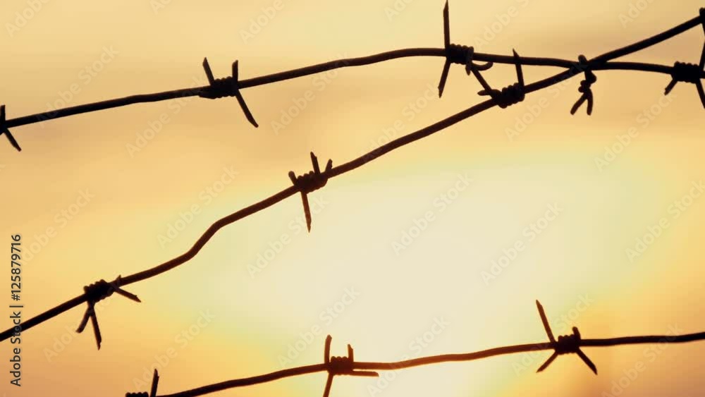 barbed wire prison sunset orange background