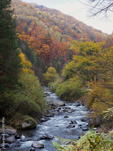 autumn in Northeast China