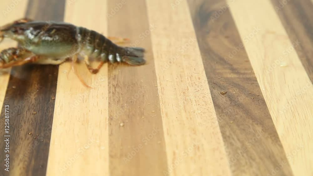 Alive crayfish closeup