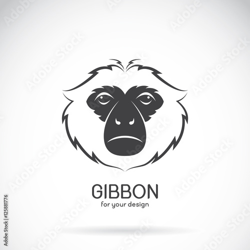 Fényképezés Vector image of a gibbon head design on white background, Vector