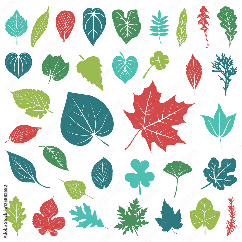 Collection of Leaf Foliage Ecology Plant - Colorful Silhouette Icon