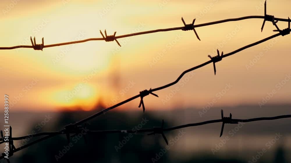 barbed wire prison sunset orange background