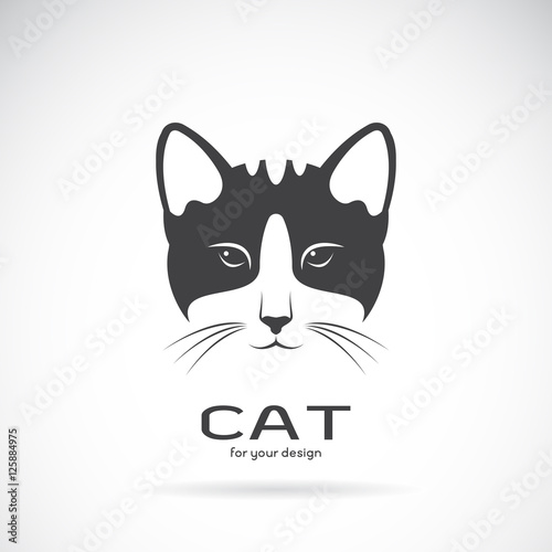 Vector image of an cat face design on white background