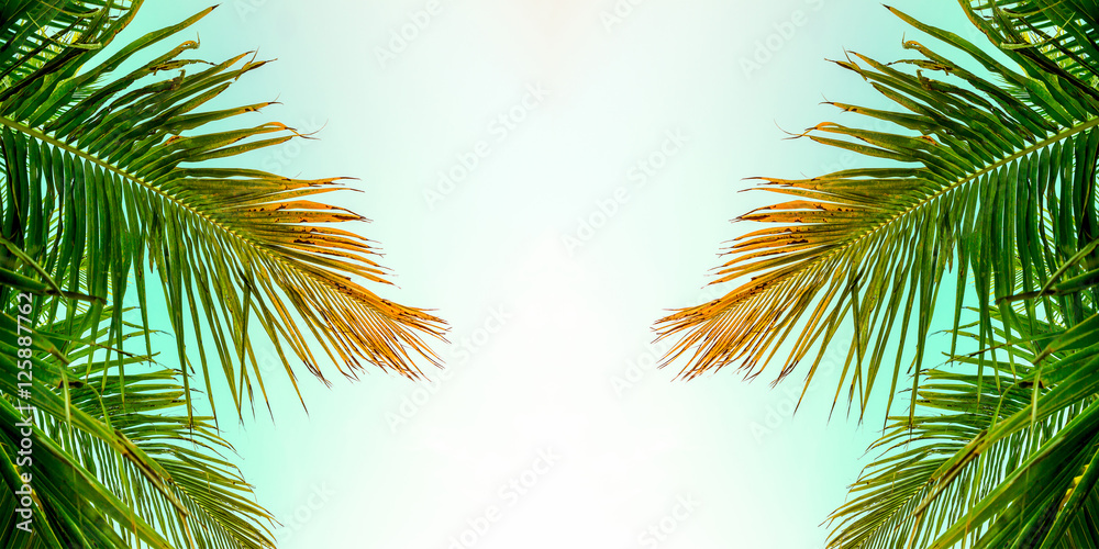 Vintage palm trees,vintage filter effect
