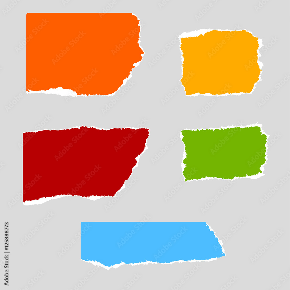 paper scraps paper scraps