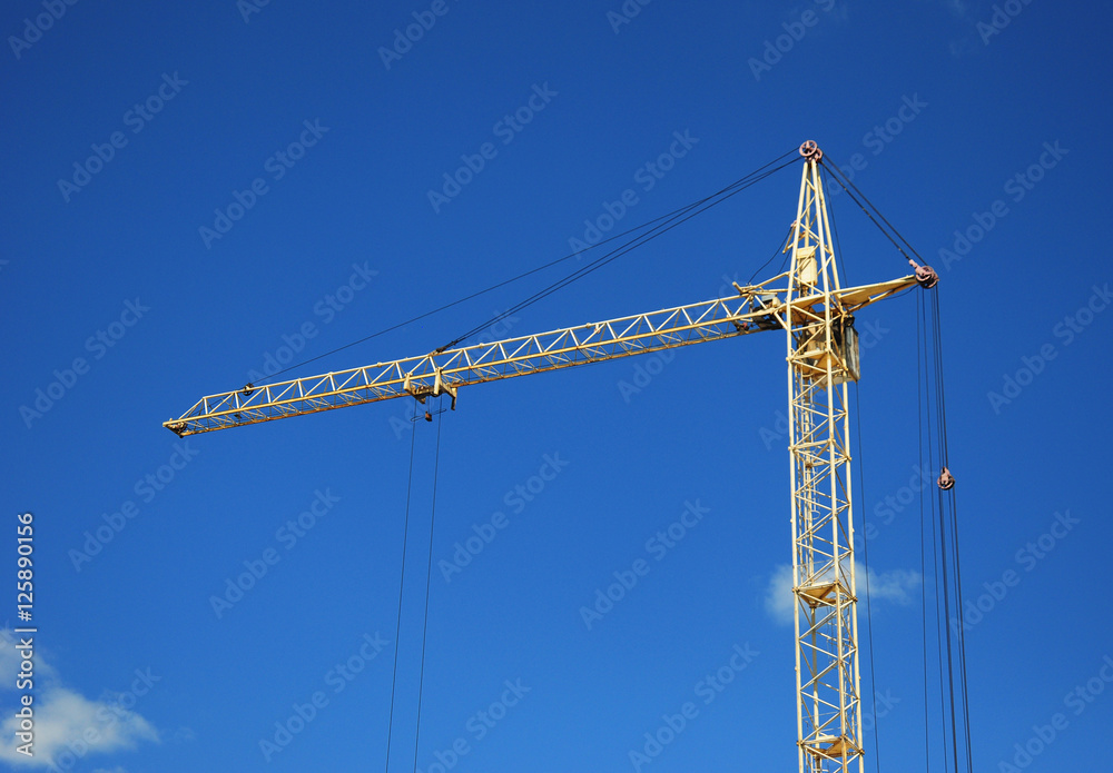 Crane bird on the building construction site with copy space.