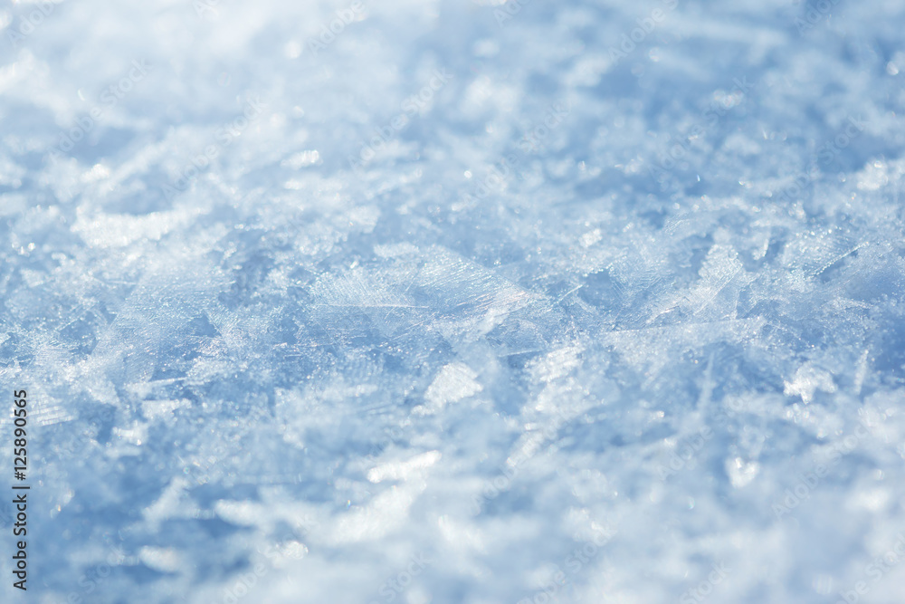 Obraz premium Snow background, blue toned