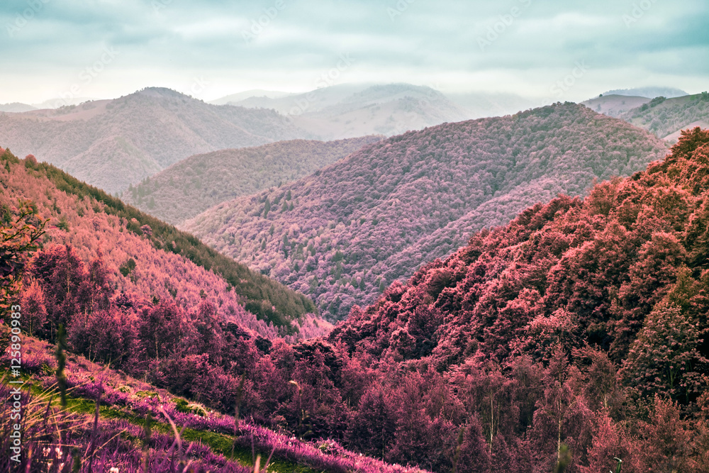 Naklejka premium fog in the mountains - Infrared filter