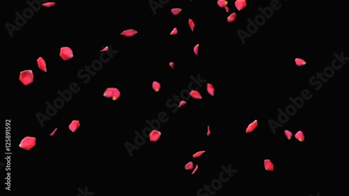 Falling Petals Of Roses Alpha Channel