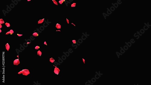 Flying Rose Petals Alpha Channel