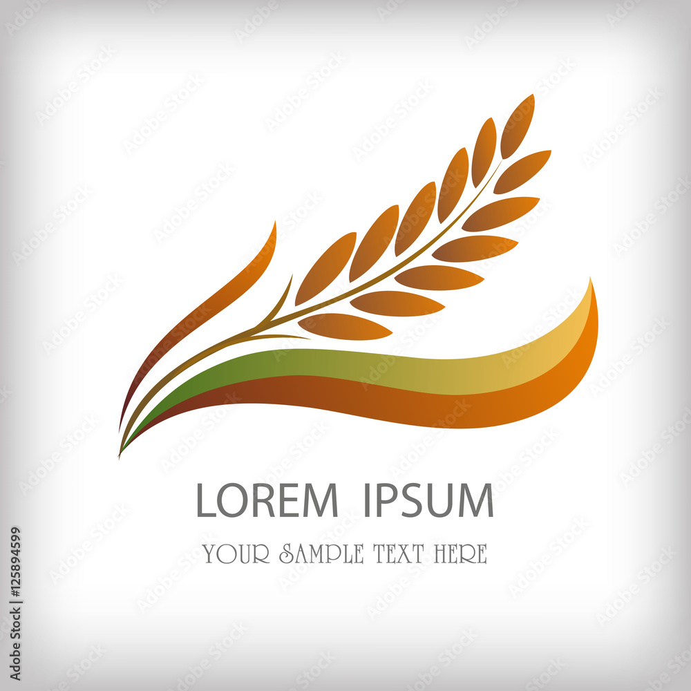 grain organic natural product with black background. concept vector illustration ,Rice gold logo vector design