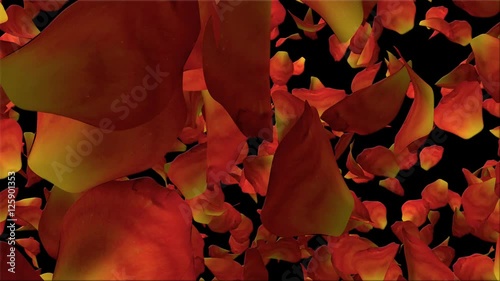 Heart of roses Alpha Channel