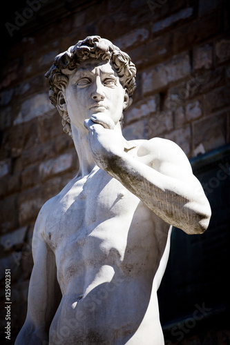 Copy of Michelangelo's David in Florence