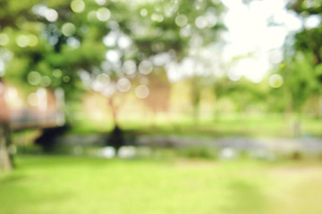 defocused bokeh background of  garden trees in sunny day