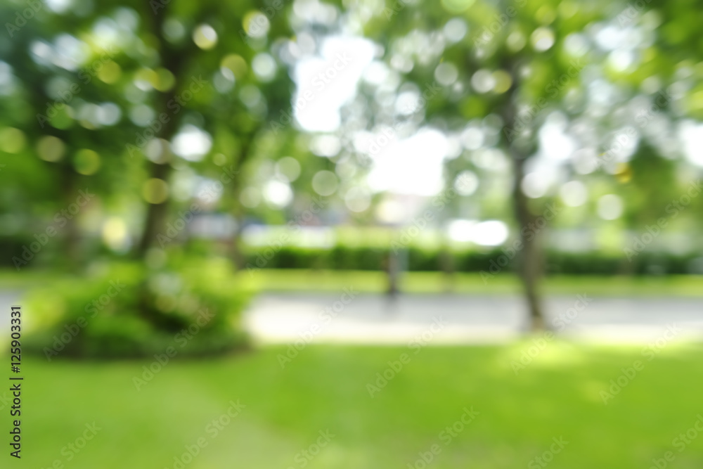 defocused bokeh background of garden trees in sunny day defocused bokeh background of garden trees in sunny day