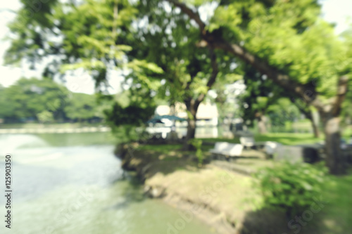 defocused bokeh background of garden trees in sunny day