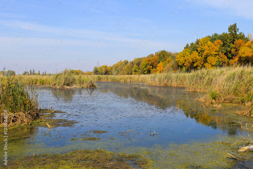 Beautiful lake on autumn Beautiful lake on autumn
