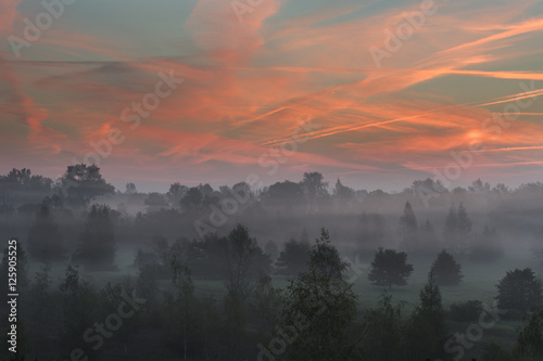 Stunning vibrant evocative Autumn Fall foggy forest landscape