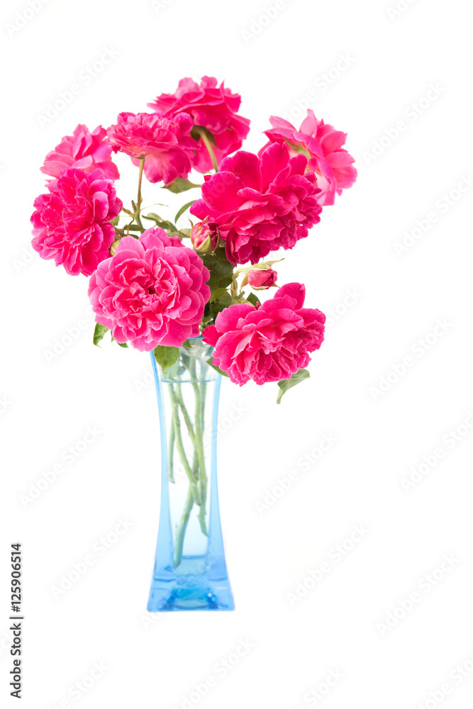 Red rose bouquet in blue vase isolated on white