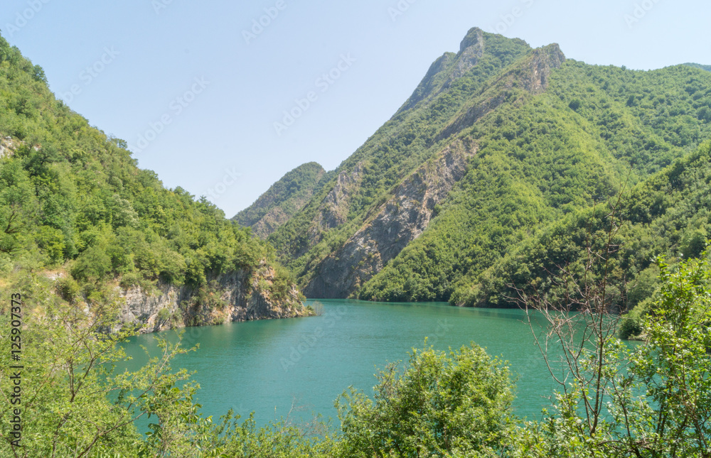 Lake and nature