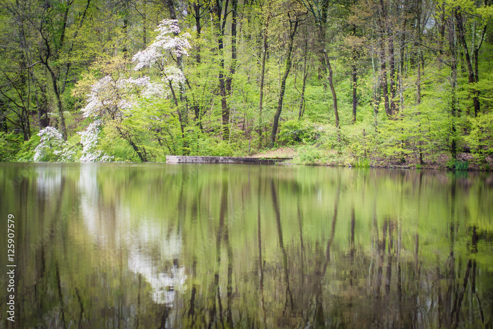 Obraz premium Mountain Lakes Princeton NJ